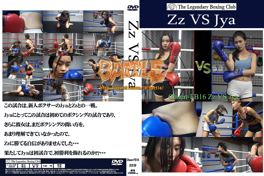Zz VS Jya